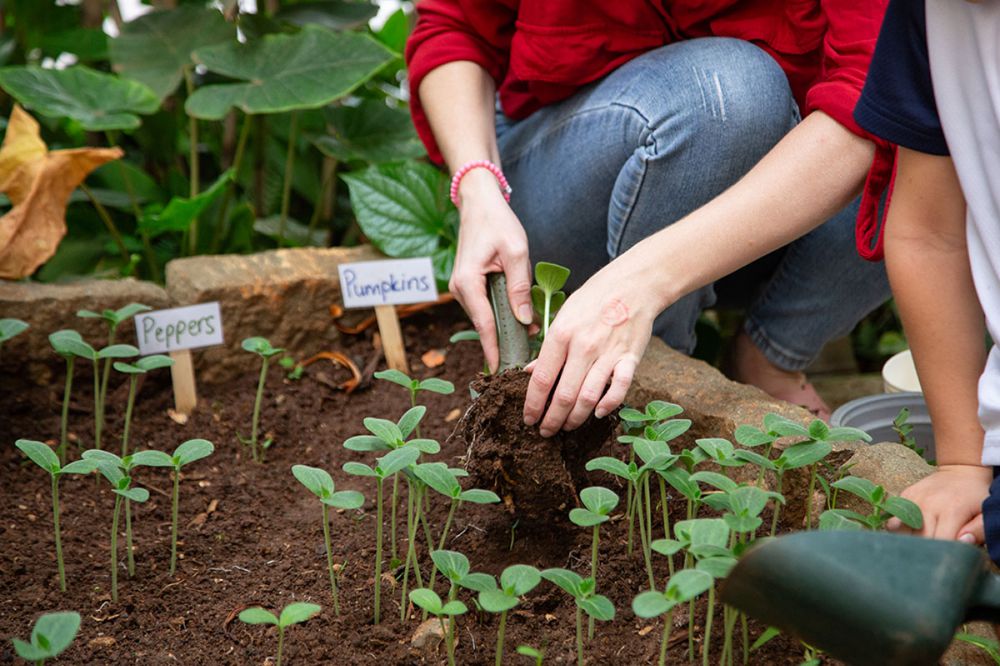 Science and Nature Exploration