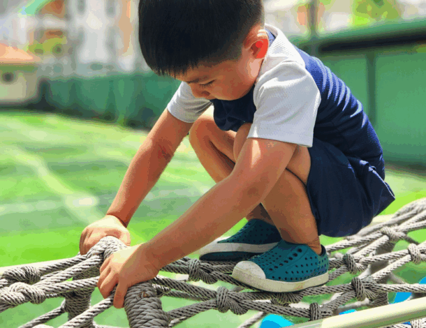 Giáo Dục Sớm Là Gì? Khái Niệm, Lợi Ích và Các Hoạt Động Hiệu Quả Cho Trẻ