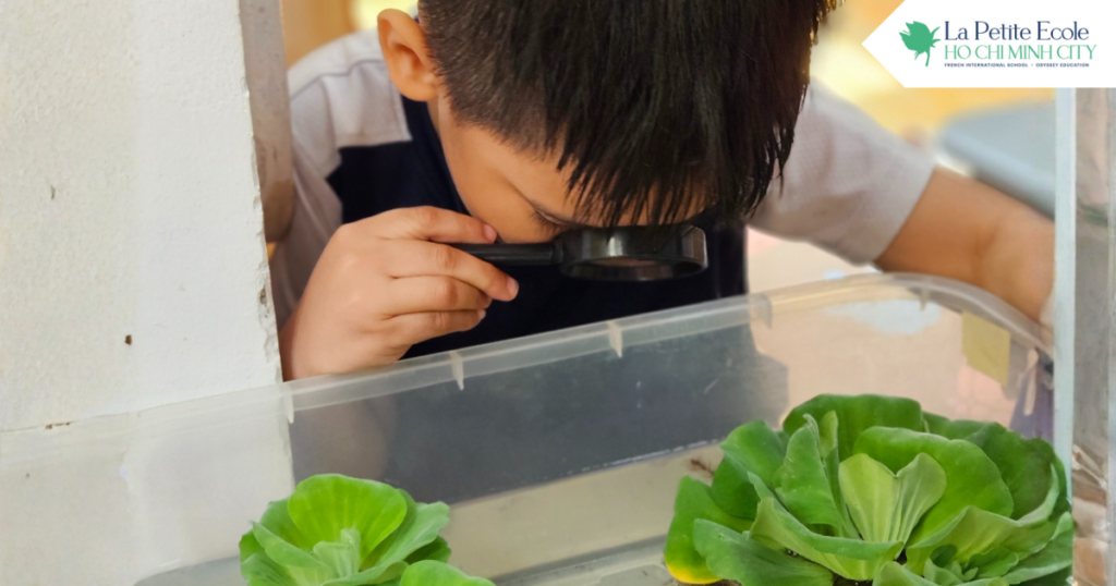 học tập theo khái niệm