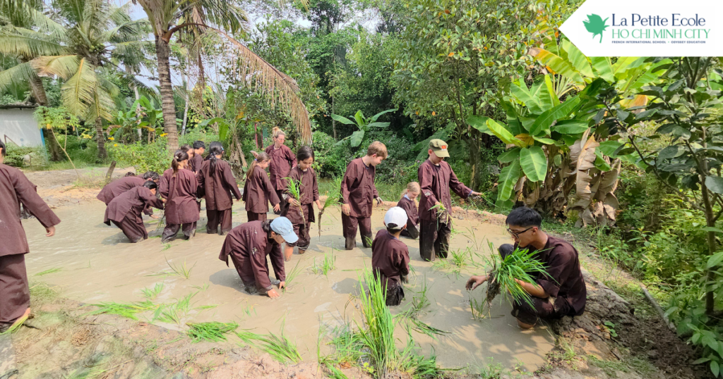 sự tò mò của trẻ em là gì